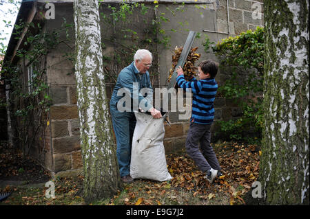 Großvater und Enkel clearing Blätter im Garten Stockfoto