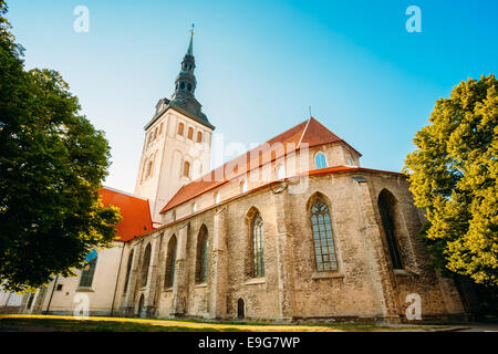 Weiße alte mittelalterliche ehemalige Nikolaikirche (Niguliste) In Tallinn, Estland Stockfoto