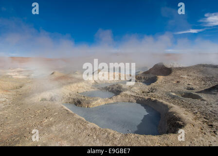 Schlamm-Geysir, Altiplano, Bolivien Stockfoto