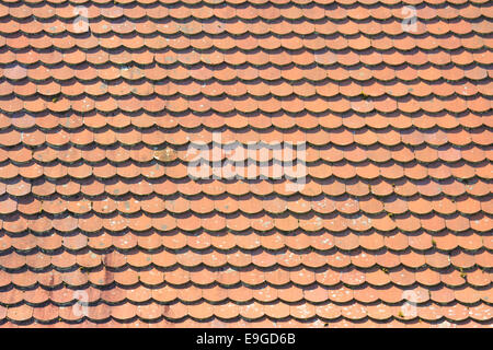 Biberschwanz Dachziegel Stockfoto, Bild: 48718084 - Alamy
