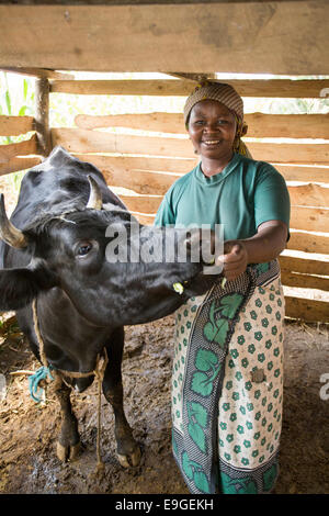 Kleinbauern mit einer Kuh in Arusha, Tansania, Ostafrika. Stockfoto