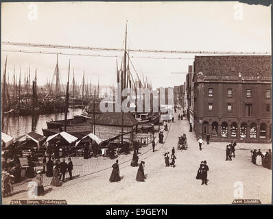 Foto von Tyskebryggen in Bergen, aufgenommen von Axel Lindahl. Das Bild zeigt die architektonische und urbane Landschaft dieses historischen Teils von Bergen, der sich in Hordaland, Norwegen befindet und die Uferpromenade und die traditionellen Gebäude zeigt. Stockfoto