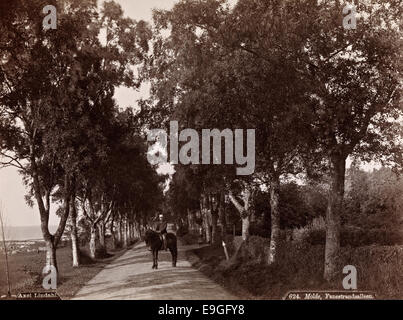 Foto des Fanestrandsaleen-Gebäudes in Molde, Møre og Romsdal, Norwegen, aufgenommen von Axel Lindahl. Das Bild zeigt das Gebäude mit Pferden und zeigt eine Szene aus dem frühen 20. Jahrhundert. Stockfoto