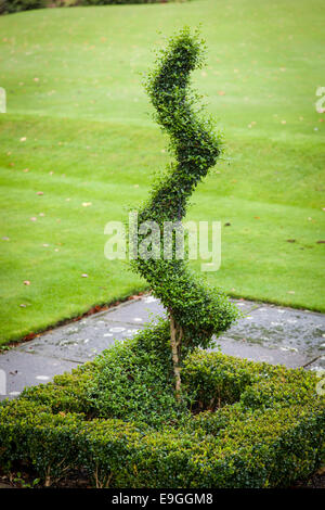 Kasten (Buxus Sp) beschnitten und in eine vertikale Spirale aus einer quadratischen Grundfläche in einem Stadtpark ausgebildet. Stockfoto