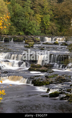 Upper Aysgarth Falls auf dem Fluß Ure im Herbst, Aysgarth, Yorkshire Dales National Park, North Yorkshire, England, UK Stockfoto