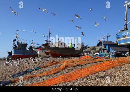 Möwen Rad über Hastings Angelboote/Fischerboote an einem warmen und sonnigen Tag Ende Oktober, East Sussex, England, GB Stockfoto