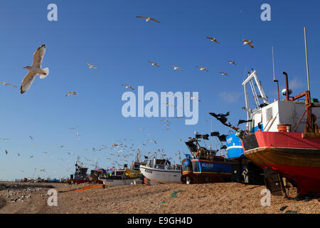 Möwen Rad über Hastings Angelboote/Fischerboote an einem warmen und sonnigen Tag Ende Oktober, East Sussex, England, GB Stockfoto