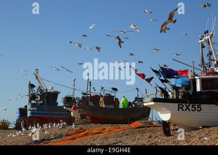 Möwen Rad über Hastings Angelboote/Fischerboote am Altstadt Stade Strand East Sussex England UK Stockfoto