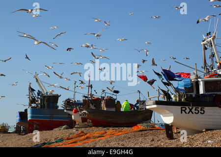 Möwenherde radeln über die Fischerboote von Hastings am Old Town Stade Beach East Sussex England Großbritannien Stockfoto