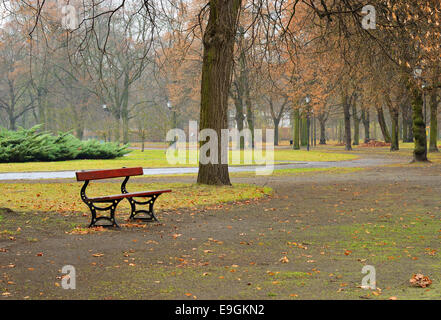 Leeren Park in einem Regen Herbsttag Stockfoto