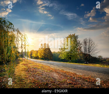 Autobahn durch den schönen Herbstwald und die strahlende Sonne Stockfoto