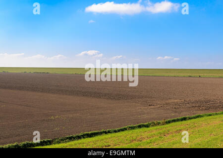 Acker mit schützenden Deich gegen blauen Himmel in Ostfriesland, Deutschland, nahe der holländischen Grenze Stockfoto