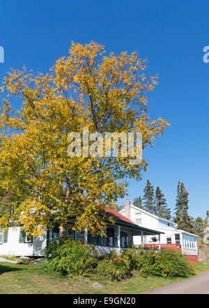 Alte Häuser und Herbstfärbung, Silber Islet, Ontario, Kanada Stockfoto