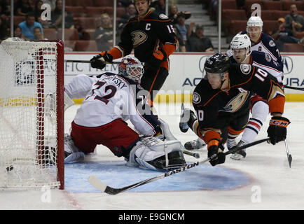 24. Oktober 2014: Columbus Blue Jackets und Anaheim Ducks, Honda Center in Anaheim, CA Corey Perry #10 geht vollständig horizontal wie er ein Tauchen Ziel macht vorbei an Torhüter Sergei Bobrovsky #72 für eine erste Periode Tor. Stockfoto