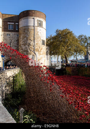 Blut gefegt, Länder und Meere rot - Mohn-Tower von London UK Stockfoto