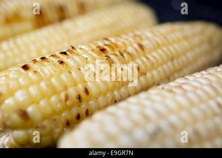 Maiskolben auf dem Grill zubereitet. Stockfoto