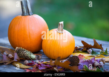 Orange Kürbisse und Herbst Dekoration Stockfoto