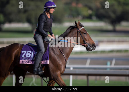 Arcadia, Kalifornien, USA. 27. Oktober 2014. Dantee, trainiert von Keith Desormeaux Übungen zur Vorbereitung auf den Breeders' Cup Juvenile Fillies bei Santa Anita Race Course in Arcadia, Kalifornien am 27. Oktober 2014. Kazushi Ishida/ESW/CSM/Alamy Live-Nachrichten Stockfoto