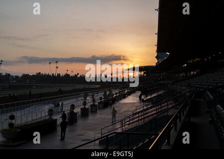 Arcadia, Kalifornien, USA. 27. Oktober 2014. Sonnenaufgang bei Santa Anita Racecourse in Arcadia, Kalifornien am 27. Oktober 2014. Kazushi Ishida/ESW/CSM/Alamy Live-Nachrichten Stockfoto