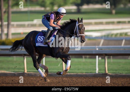 Arcadia, Kalifornien, USA. 27. Oktober 2014. Schnitzen Sie, Kiaran McLaughlin, Übungen zur Vorbereitung der Breeders' Cup Dirt Mile bei Santa Anita Race Course in Arcadia, Kalifornien am 27. Oktober 2014 ausgebildet. Kazushi Ishida/ESW/CSM/Alamy Live-Nachrichten Stockfoto