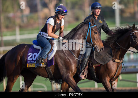 Arcadia, Kalifornien, USA. 27. Oktober 2014. Stanwyck, trainiert von John Shirreffs, Übungen zur Vorbereitung auf den Breeders' Cup Spinnrocken in Santa Anita Race Course in Arcadia, Kalifornien am 27. Oktober 2014. Kazushi Ishida/ESW/CSM/Alamy Live-Nachrichten Stockfoto