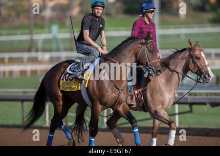 Arcadia, Kalifornien, USA. 27. Oktober 2014. Fußgängerbrücke, trainiert von Eoin Harty, Übungen zur Vorbereitung auf den Breeders' Cup Classic bei Santa Anita Race Course in Arcadia, Kalifornien am 27. Oktober 2014. Kazushi Ishida/ESW/CSM/Alamy Live-Nachrichten Stockfoto