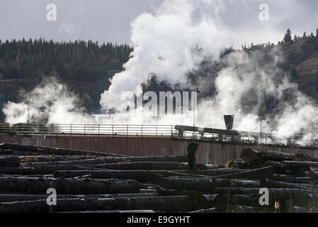 Dampf steigt aus einem Sägewerk in Elgin, Oregon. Stockfoto