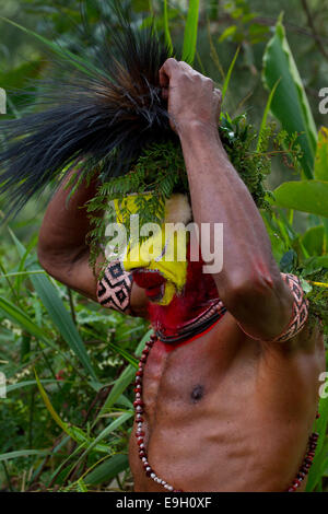 Ein Huli Wigman assembliert Kasuar Federn an seinem Kopfschmuck Stockfoto