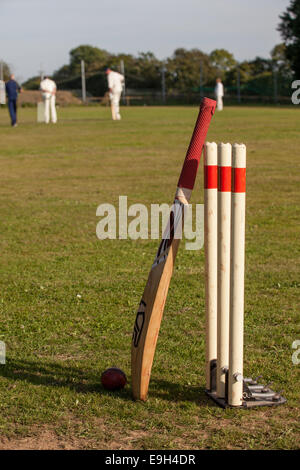 Cricketball mit Fledermaus gegen Stümpfe Stockfoto