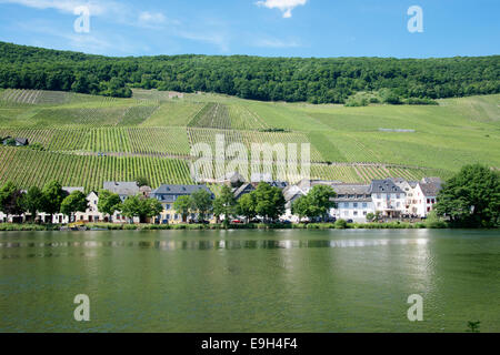 Piesport Dorf an der Mosel Deutschland Stockfoto