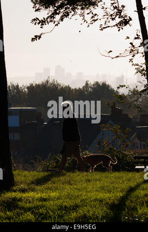 Hampstead Heath, London, UK. 28. Oktober 2014. Eine Dogwalker genießt die frühen Morgensonne auf Hampstead Heath. Bildnachweis: Paul Davey/Alamy Live-Nachrichten Stockfoto