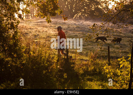 Hampstead Heath, London, UK. 28. Oktober 2014. Ein Läufer macht seinen Weg durch die letzten von den frühen Morgennebel. Bildnachweis: Paul Davey/Alamy Live-Nachrichten Stockfoto