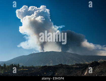 Eruptionssäule über die neuen Süd-Ost Krater, dunkle Wolke über der neuen Nordosten Krater, Nordseite, den Ätna, in Mascali Stockfoto