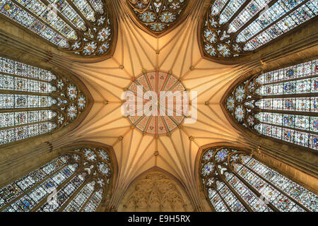 Verzierte Decke des Oktogons im Kapitelsaal, York Minster, York, North Yorkshire, England, Vereinigtes Königreich Stockfoto