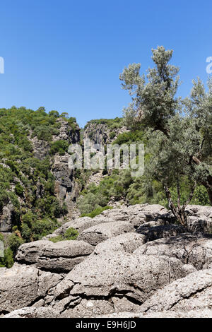 Gorge, Taurus-Gebirge, Köprülü Canyon National Park, Provinz Antalya, Türkei Stockfoto