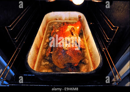 Hausgemachte gebratene Ente mit Äpfeln in den Ofen Stockfoto