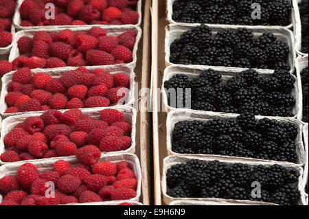 Frische Himbeeren (Rubus Idaeus) und frische Brombeeren (Rubus Sectio Rubusin) in Boxen auf dem Markt, Baden-Württemberg Stockfoto