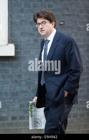 London, UK. 28. Oktober 2014. Herr Andrew Feldman kommt in 10 Downing Street für eine Kabinettssitzung am Dienstag, 28. Oktober 2014. Bildnachweis: Heloise/Alamy Live-Nachrichten Stockfoto