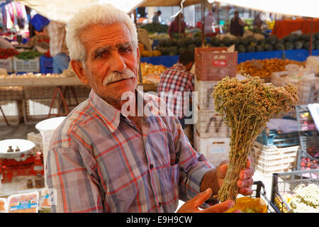 Mann Markt Holding Kräuter, Landwirt, Manavgat, Provinz Antalya, Türkei Stockfoto