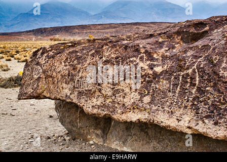 Petroglyphen an Fisch Slough Road in Chalfant Valley mit weißen Berge in der Ferne, Mojave-Wüste, in der Nähe von Bishop, Kalifornien, USA Stockfoto