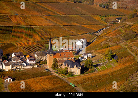 Weinberge im Ahrtal Tal im Herbst, Mayschoss, Rheinland-Pfalz, Deutschland Stockfoto