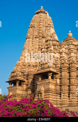 Hindu-Tempel mit blühenden Bougainvillea, Western Group, Kandariya Mahadeva Tempel, Khajuraho Gruppe Denkmäler Stockfoto