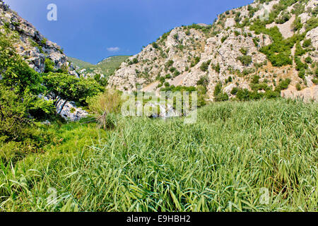 Krupa Fluss Canyon grüne Natur Stockfoto