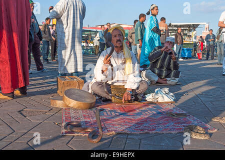 Schlangenbeschwörer auf dem Platz Djemaa el-Fna Platz in Marrakesch. 22. November 2008 in Marrakesch, Marokko Stockfoto