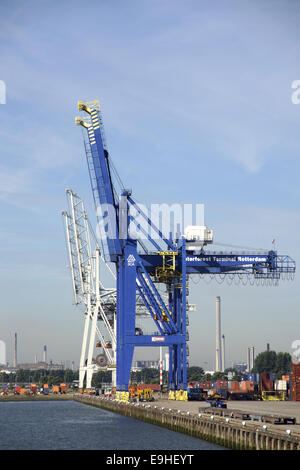 Containerbrücke im Hafen von Rotterdam Stockfoto