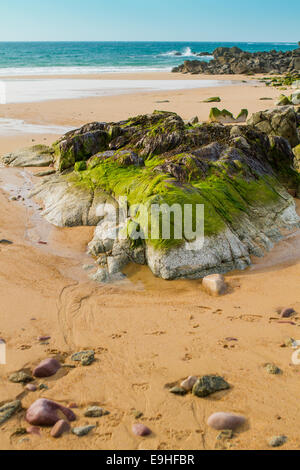 Cote d d ' Emeraude, Bretagne, Frankreich Stockfoto