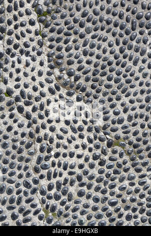 Steinen in Beton eingebettet Stockfoto