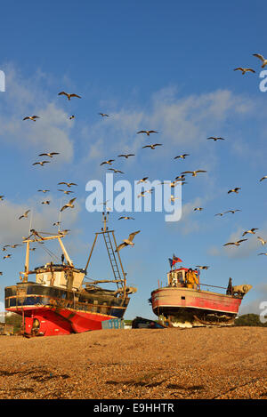 Hastings Angelboote/Fischerboote vertäut am Strand mit einem Flug der Möwen oben. East Sussex. Stockfoto