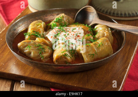 Golubtsy. Gefüllte Kohlblätter. Polen-Russland-Ukraine-Essen. Stockfoto