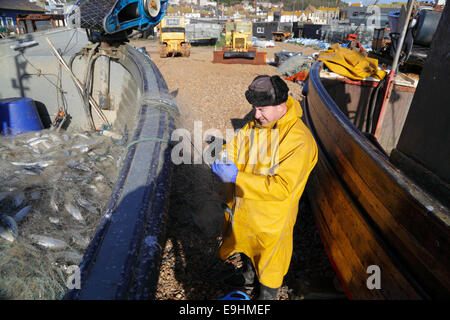 Hastings Fischer unter frischen fangen Fische aus Netzen, an Hastings Stade Fischer Strand, East Sussex, England, GB, UK Stockfoto